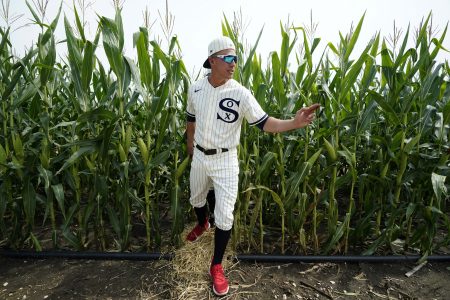 field of dreams sneakers